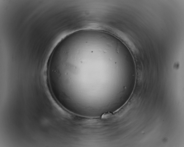 X0000103501479200809121727