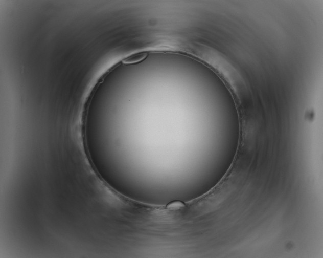 X0000103501480200809121727