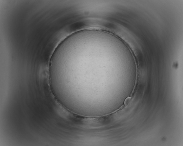 X0000103501481200809121727