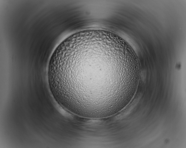 X0000103501482200809121727