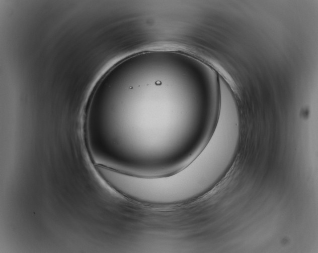 X0000103501484200809121727