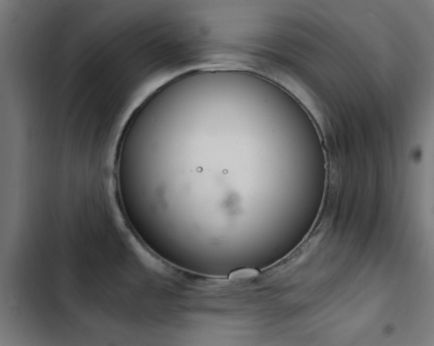 X0000103501485200809121727