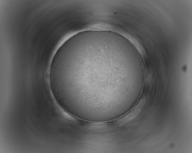 X0000103501486200809121727