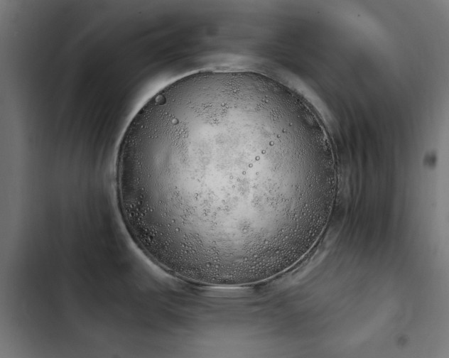 X0000103501487200809121727