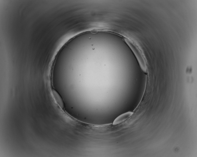 X0000103501488200809121727