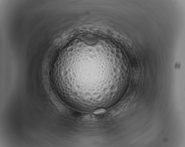 X0000103501489200809121726