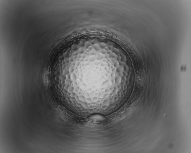 X0000103501490200809121726