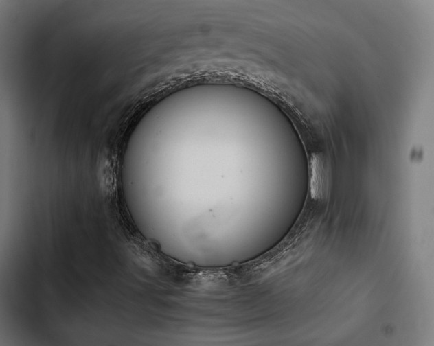 X0000103501491200809121726