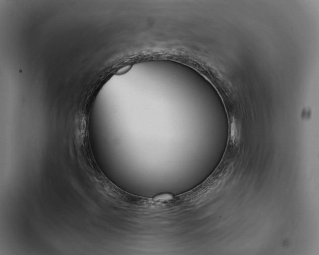 X0000103501492200809121726