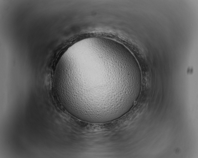 X0000103501493200809121726