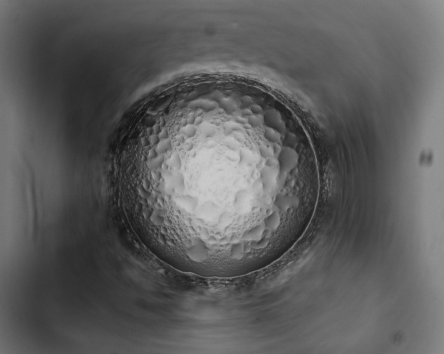 X0000103501494200809121726