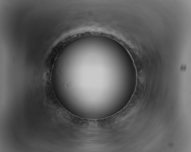 X0000103501495200809121726