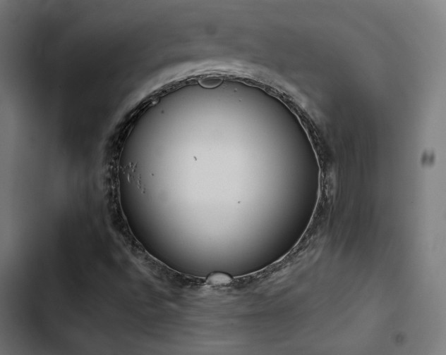 X0000103501496200809121726