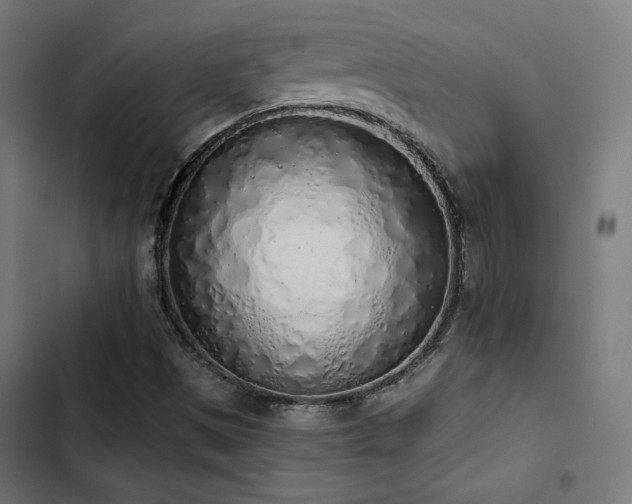 X0000103501497200809121726