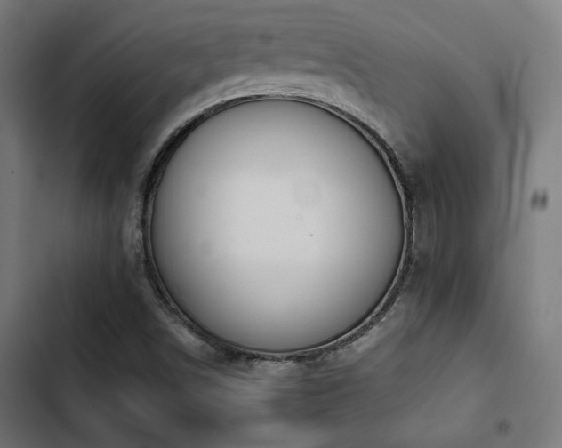 X0000103501498200809121726