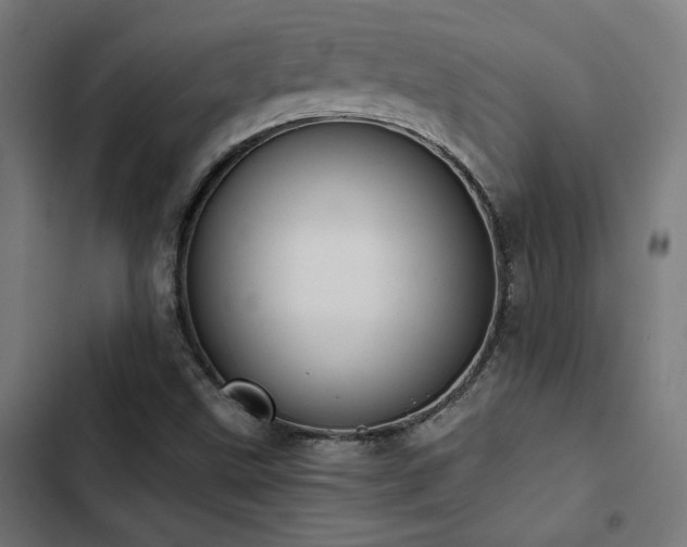 X0000103501499200809121726