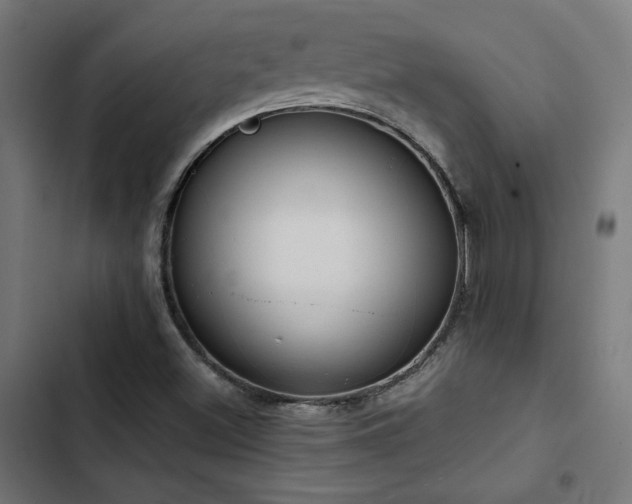 X0000103501500200809121726