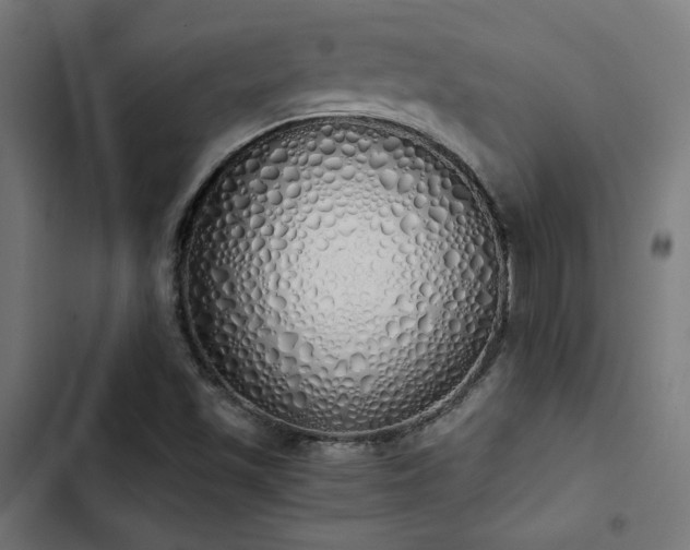 X0000103501501200809121726