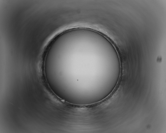 X0000103501502200809121726