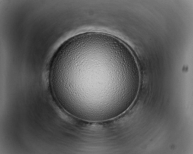 X0000103501503200809121726