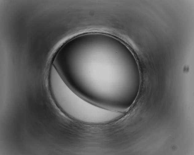 X0000103501504200809121726