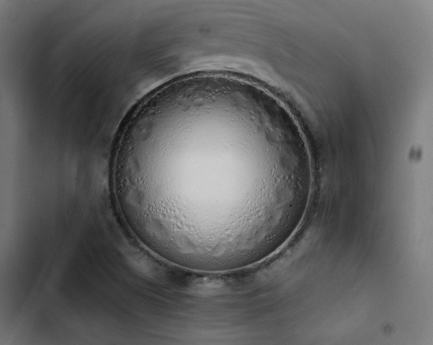 X0000103501505200809121726