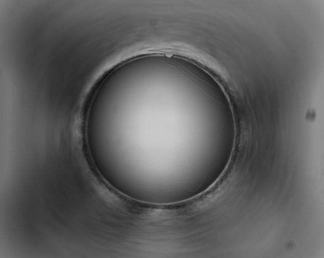 X0000103501506200809121726