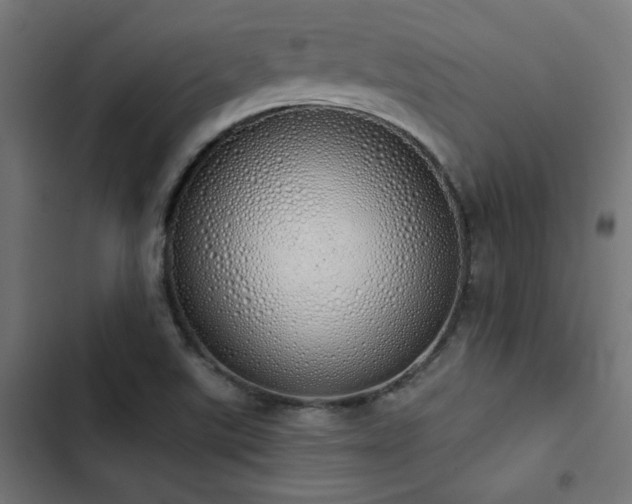 X0000103501507200809121726