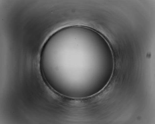 X0000103501508200809121726