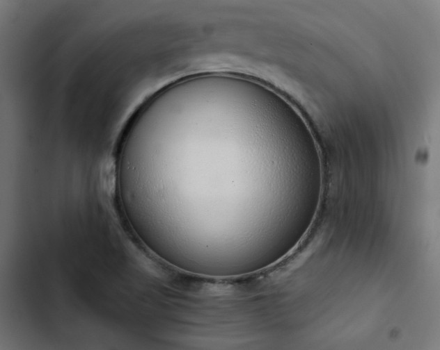 X0000103501509200809121726