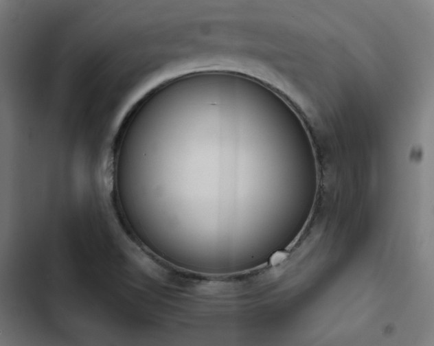 X0000103501510200809121726