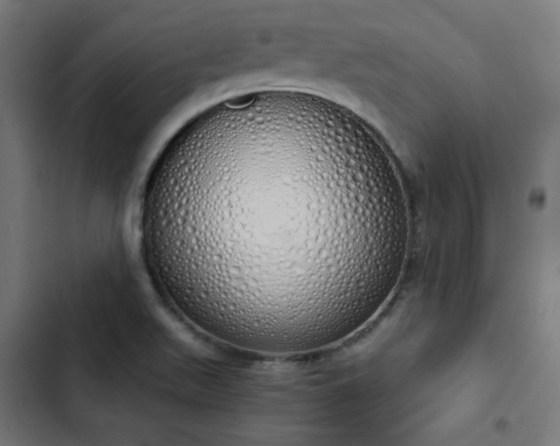 X0000103501511200809121726