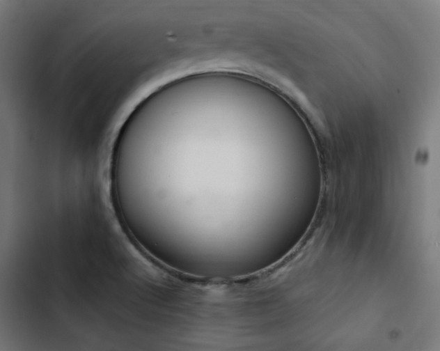 X0000103501512200809121726