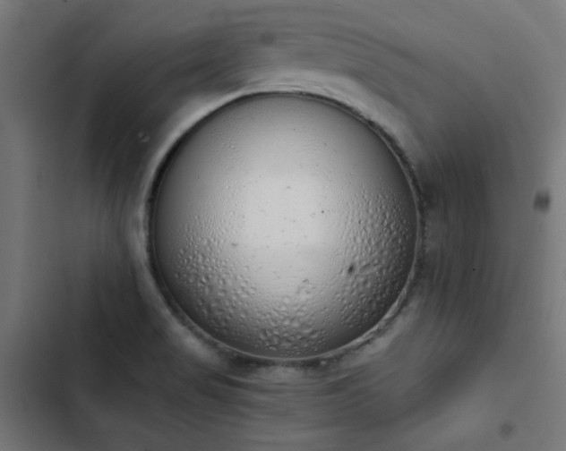 X0000103501517200809121726