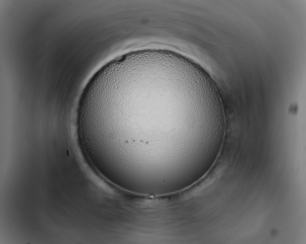 X0000103501518200809121726