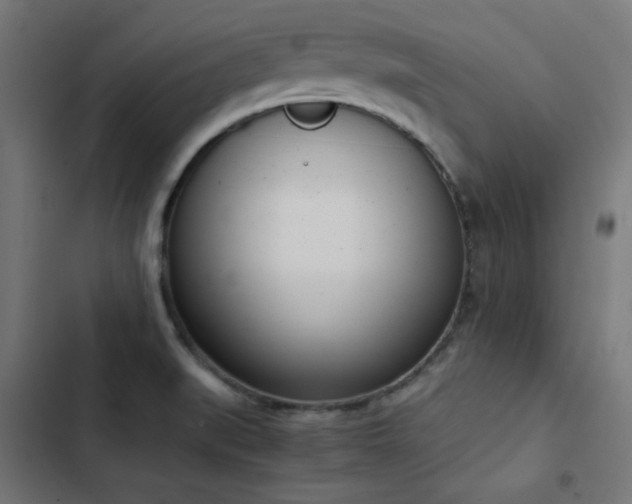 X0000103501519200809121726