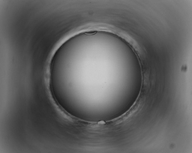 X0000103501520200809121726