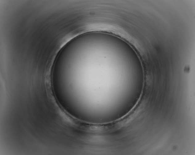 X0000103501521200809121726