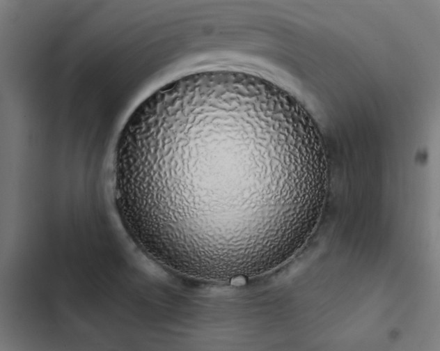 X0000103501522200809121726