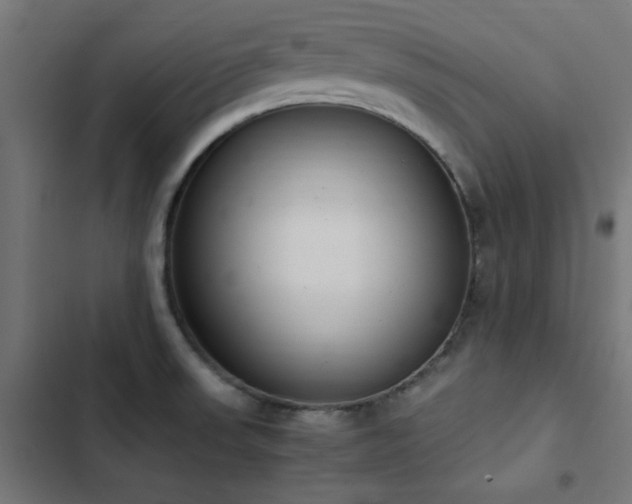 X0000103501523200809121727