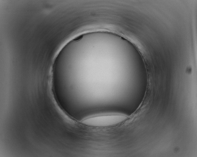 X0000103501524200809121727