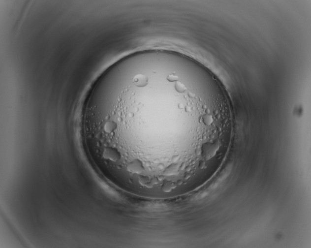 X0000103501525200809121727