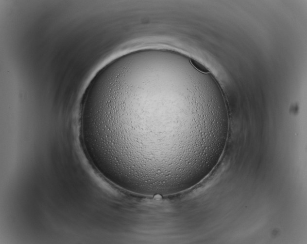 X0000103501526200809121727