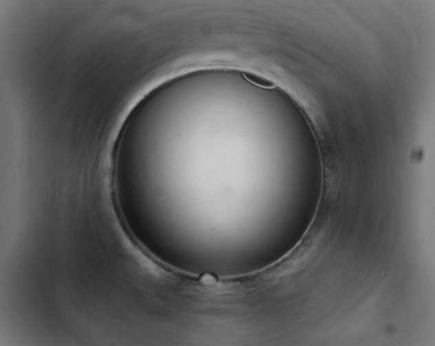 X0000103501527200809121727