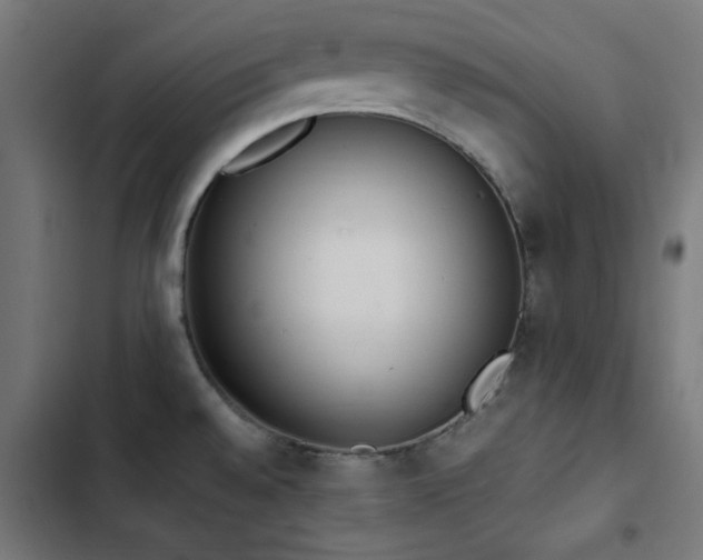 X0000103501528200809121727