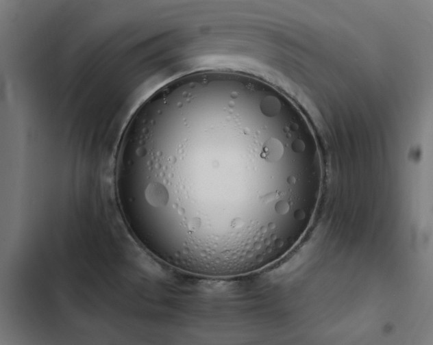 X0000103501529200809121727