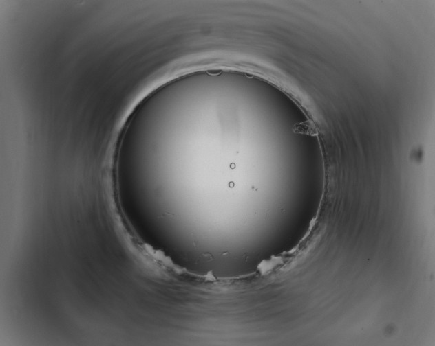 X0000103501530200809121727