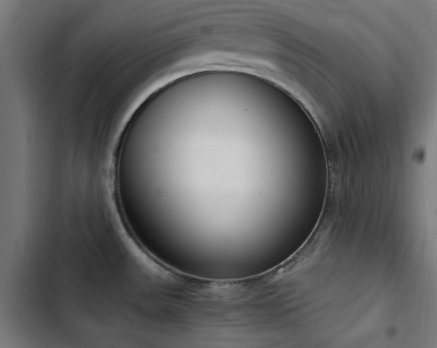 X0000103501531200809121727