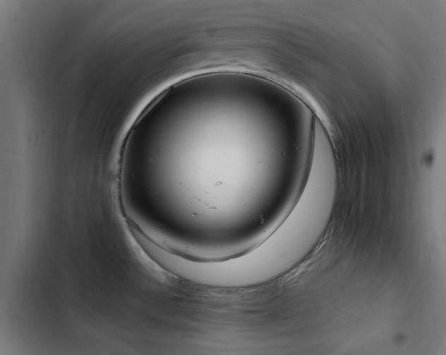 X0000103501532200809121727