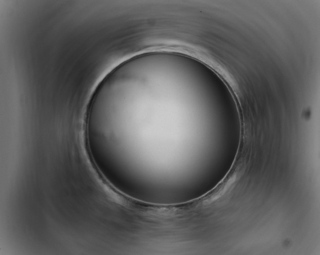 X0000103501533200809121727